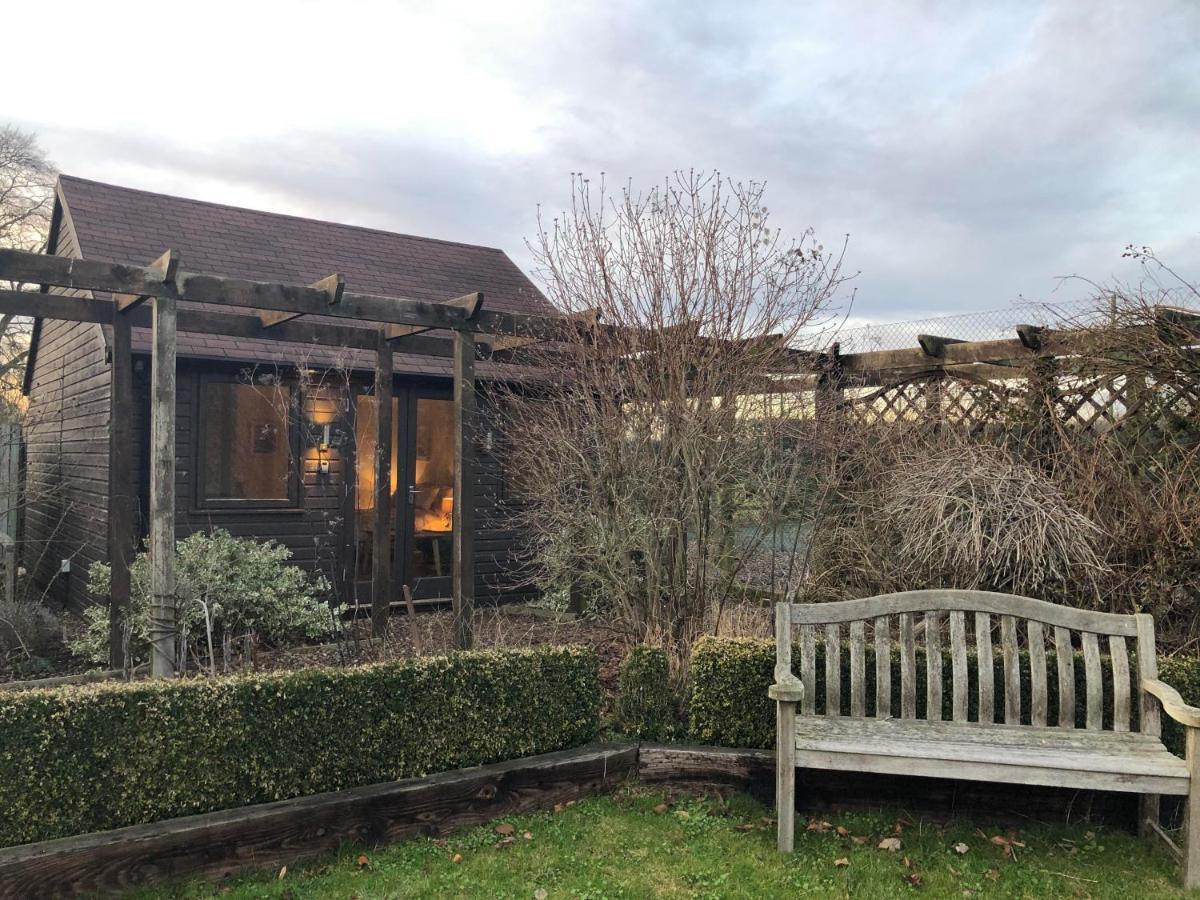Garden Studio Benson Exterior photo
